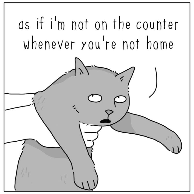 https://cdn-dev.tinyview.com/they-can-talk/2024/11/04/counter/cat_counter4.jpg