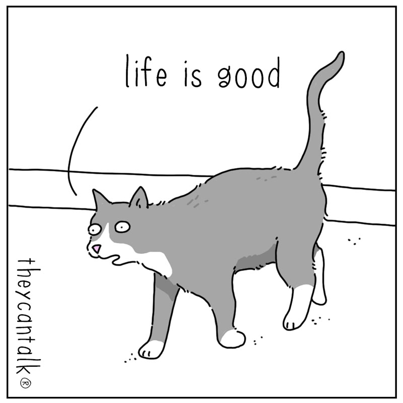 https://cdn-dev.tinyview.com/they-can-talk/2024/11/11/discontent/cat_chicken1.jpg