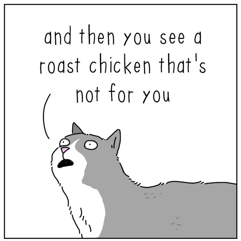 https://cdn-dev.tinyview.com/they-can-talk/2024/11/11/discontent/cat_chicken2.jpg