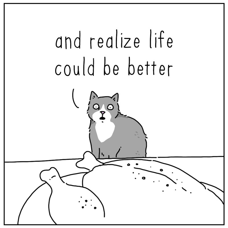 https://cdn-dev.tinyview.com/they-can-talk/2024/11/11/discontent/cat_chicken3.jpg