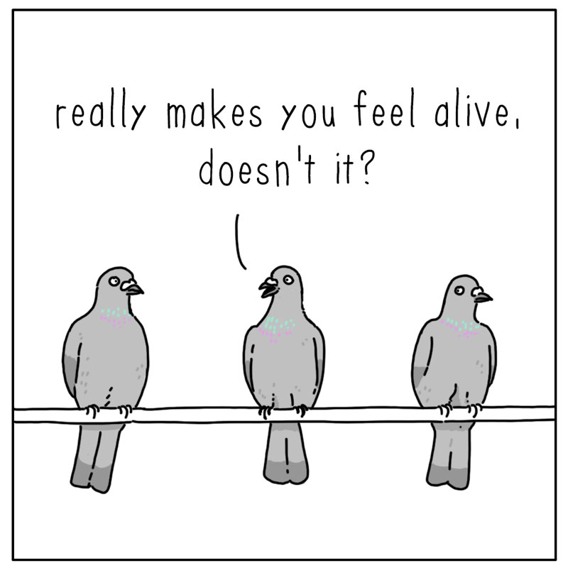https://cdn-dev.tinyview.com/they-can-talk/2024/11/14/electricity/pigeon_wire2.jpg