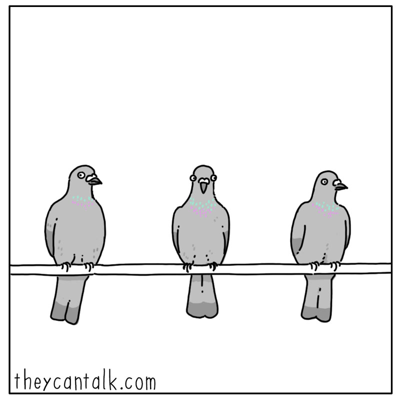 https://cdn-dev.tinyview.com/they-can-talk/2024/11/14/electricity/pigeon_wire3.jpg