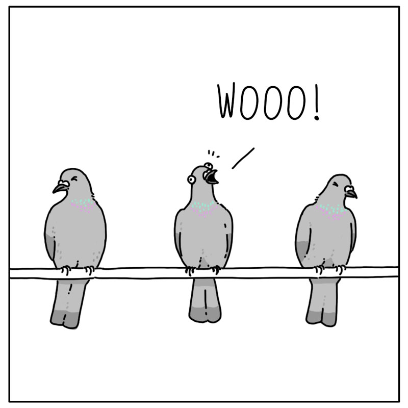 https://cdn-dev.tinyview.com/they-can-talk/2024/11/14/electricity/pigeon_wire4.jpg