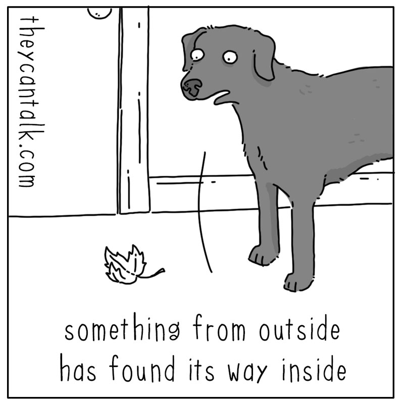 https://cdn-dev.tinyview.com/they-can-talk/2024/11/18/leaf/dog_leaf1.jpg