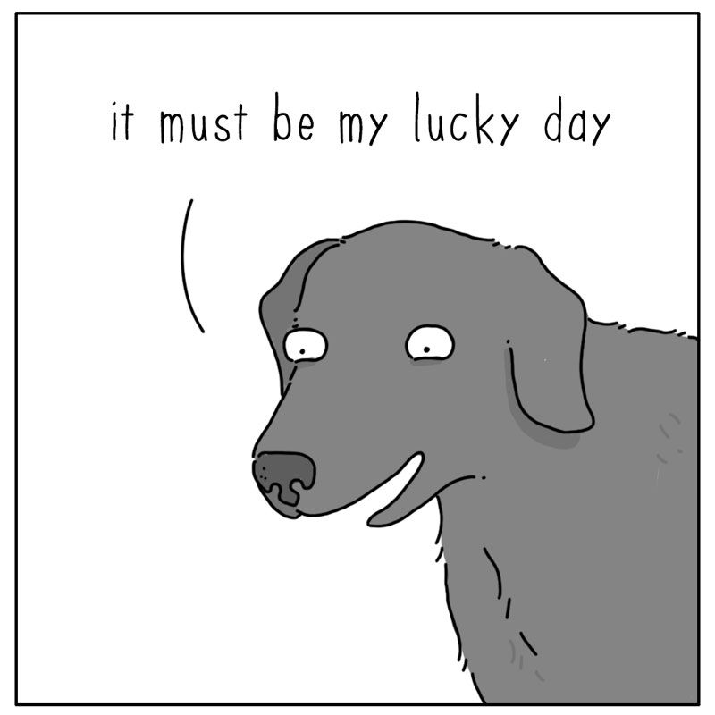 https://cdn-dev.tinyview.com/they-can-talk/2024/11/18/leaf/dog_leaf2.jpg