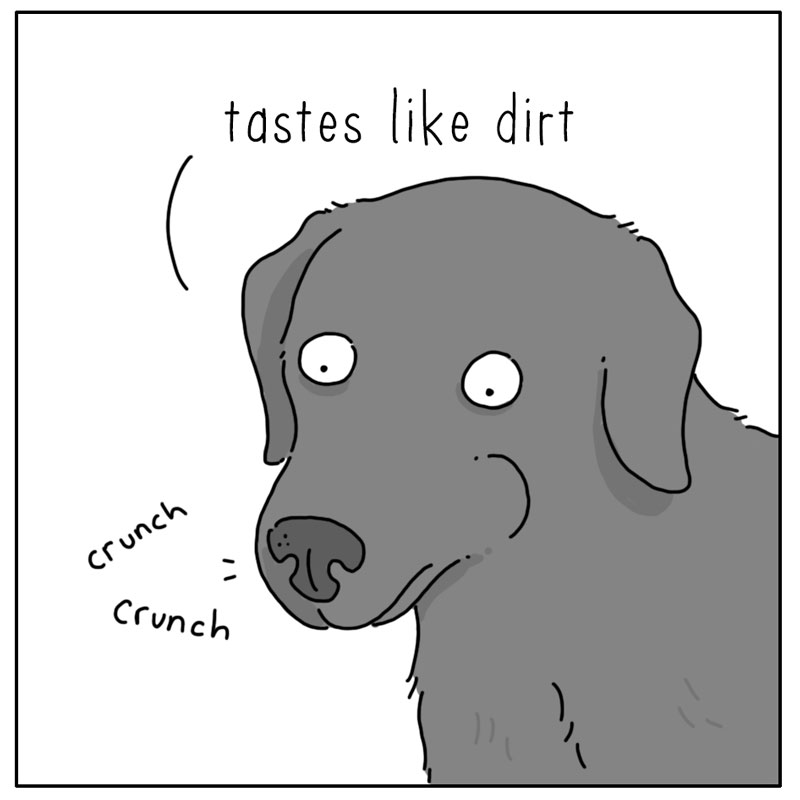 https://cdn-dev.tinyview.com/they-can-talk/2024/11/18/leaf/dog_leaf3.jpg