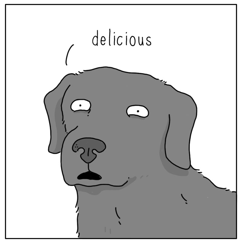 https://cdn-dev.tinyview.com/they-can-talk/2024/11/18/leaf/dog_leaf4.jpg