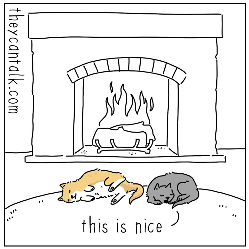 https://cdn-dev.tinyview.com/they-can-talk/2024/12/09/fireplace/cat_fireplace1.jpg