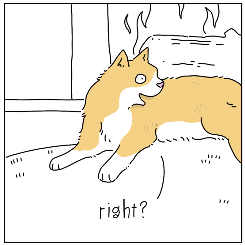 https://cdn-dev.tinyview.com/they-can-talk/2024/12/09/fireplace/cat_fireplace2.jpg