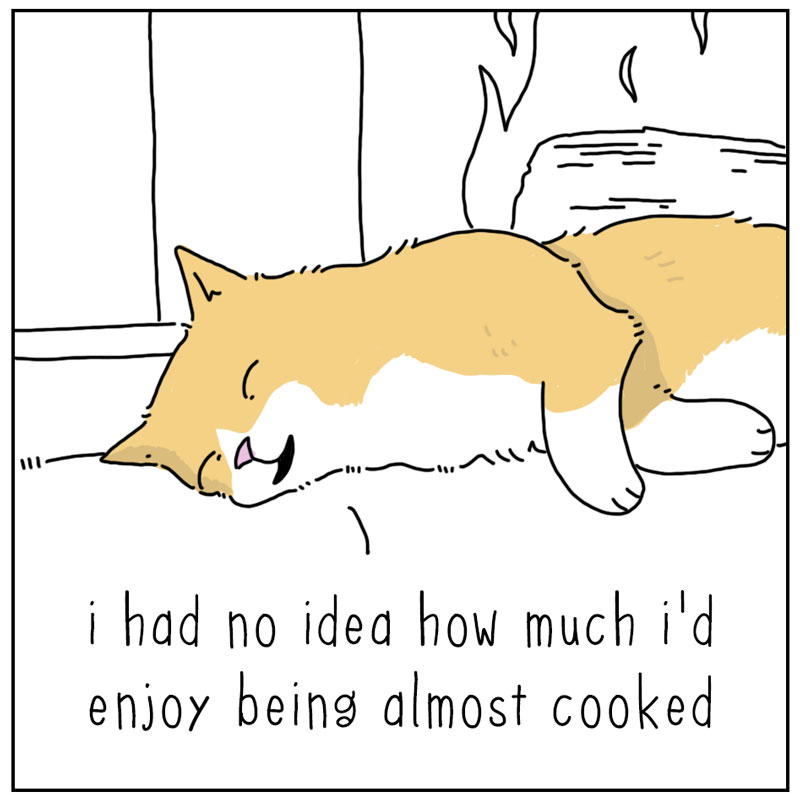https://cdn-dev.tinyview.com/they-can-talk/2024/12/09/fireplace/cat_fireplace3.jpg