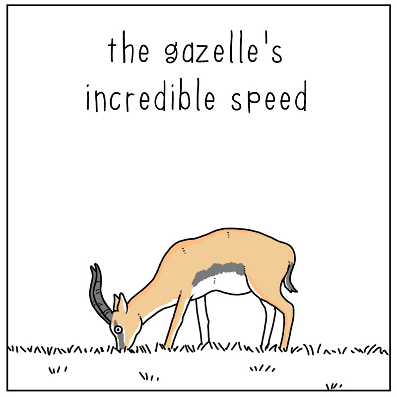 https://cdn-dev.tinyview.com/they-can-talk/2024/12/27/evade/gazelle_social1.jpg