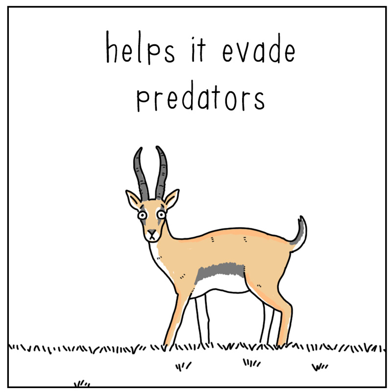 https://cdn-dev.tinyview.com/they-can-talk/2024/12/27/evade/gazelle_social2.jpg