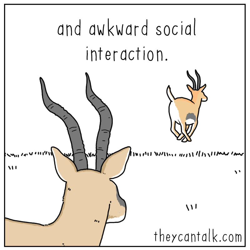 https://cdn-dev.tinyview.com/they-can-talk/2024/12/27/evade/gazelle_social3.jpg
