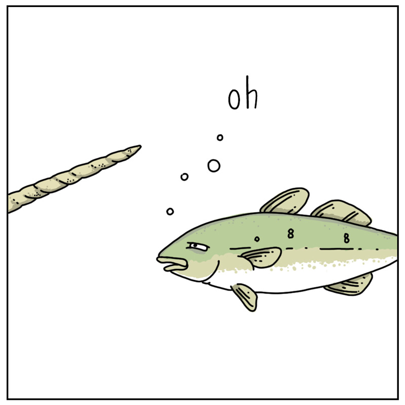https://cdn-dev.tinyview.com/they-can-talk/2025/01/10/narwhal/narwhal_tooth4.jpg