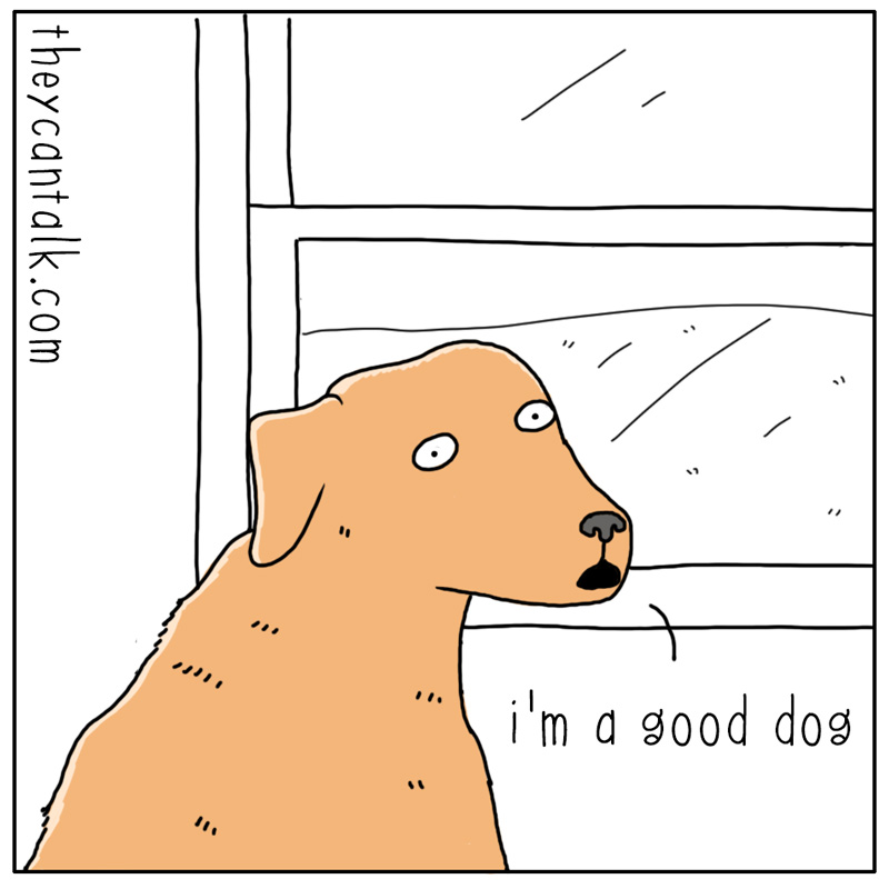 https://cdn-dev.tinyview.com/they-can-talk/2025/01/22/good/dog_gooddog1.jpg