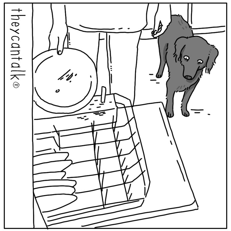 https://cdn-dev.tinyview.com/they-can-talk/2025/01/26/dishwasher/dog_dishwasher1.jpg