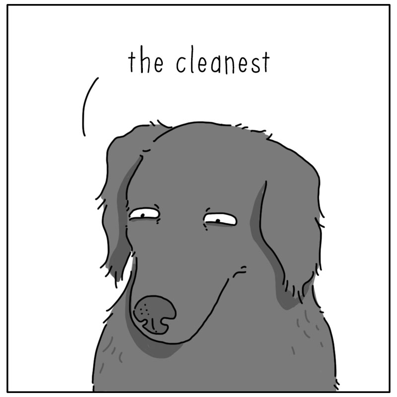 https://cdn-dev.tinyview.com/they-can-talk/2025/01/26/dishwasher/dog_dishwasher4.jpg