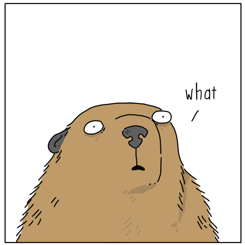 https://cdn-dev.tinyview.com/they-can-talk/2025/02/02/groundhog-day/groundhog_day3.jpg