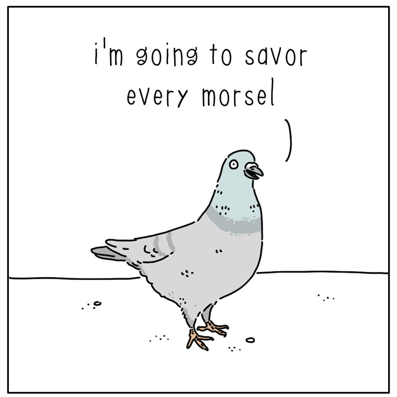 https://cdn-dev.tinyview.com/they-can-talk/2025/02/07/appreciate/pigeon_savor2.jpg