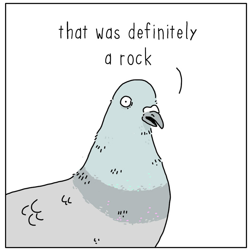 https://cdn-dev.tinyview.com/they-can-talk/2025/02/07/appreciate/pigeon_savor4.jpg