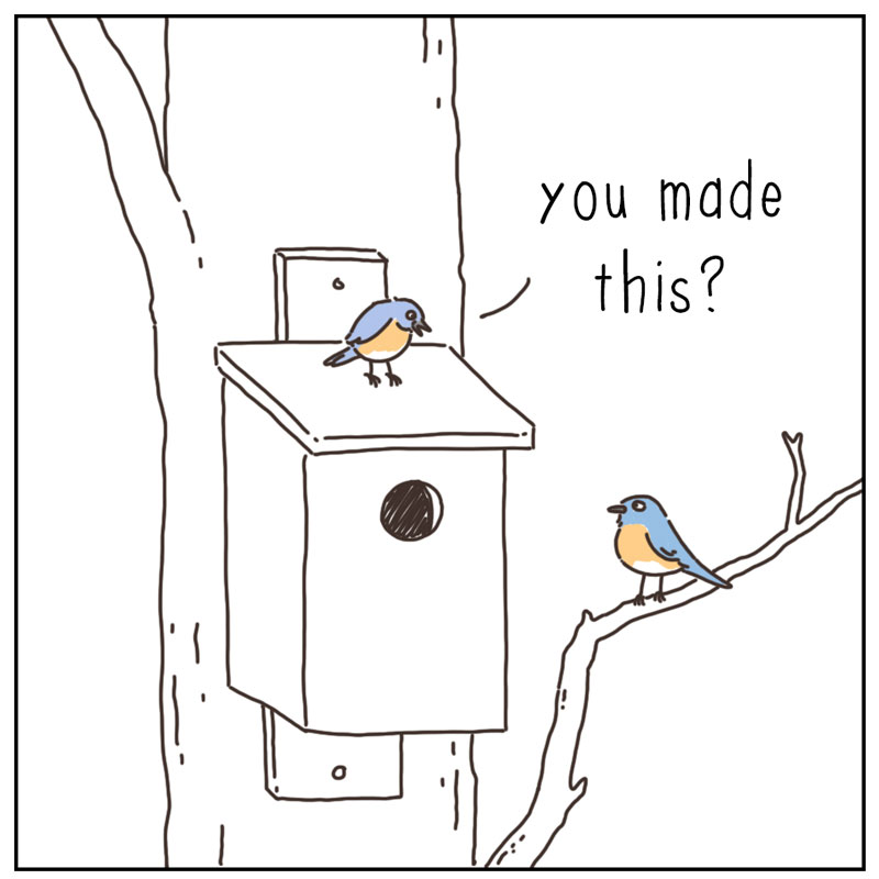https://cdn-dev.tinyview.com/they-can-talk/2025/02/24/birdhouse/bird_builthouse2.jpg