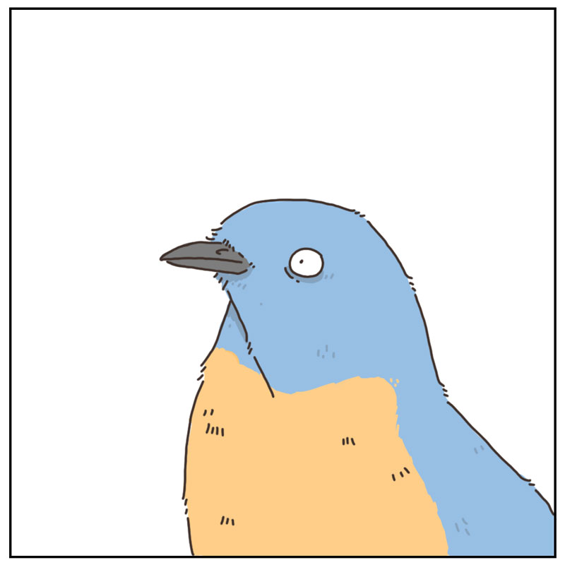 https://cdn-dev.tinyview.com/they-can-talk/2025/02/24/birdhouse/bird_builthouse3.jpg