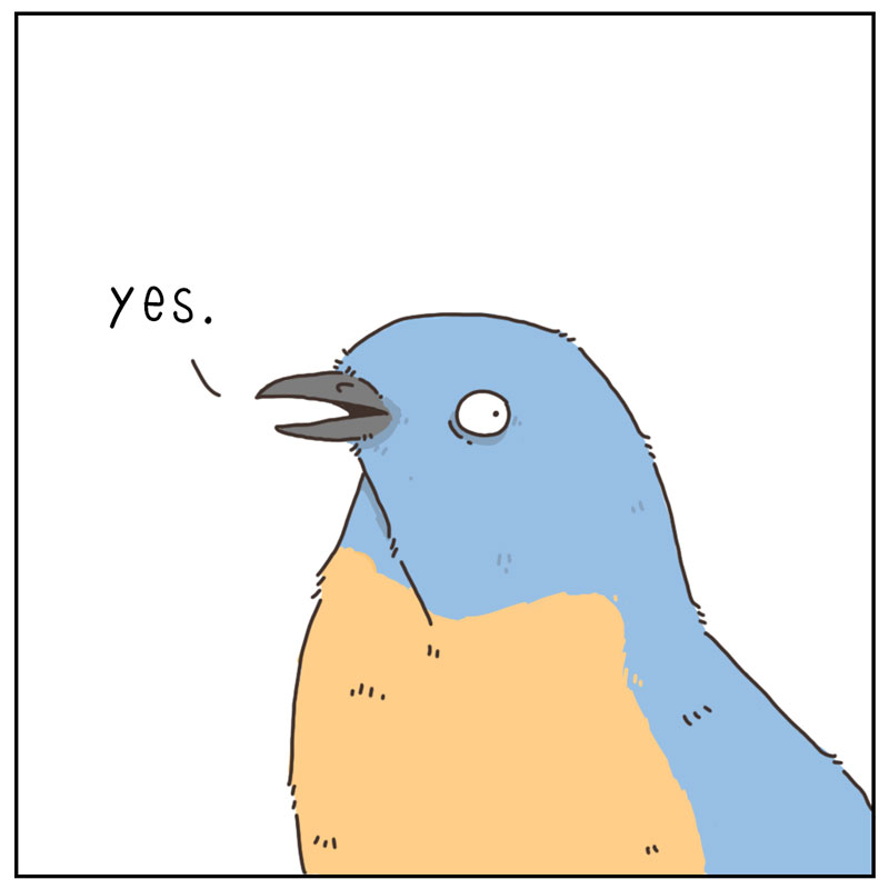 https://cdn-dev.tinyview.com/they-can-talk/2025/02/24/birdhouse/bird_builthouse4.jpg