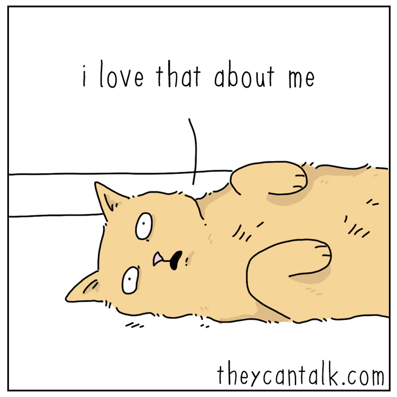 https://cdn-dev.tinyview.com/they-can-talk/2025/02/28/myself/cat_bemyself3.jpg