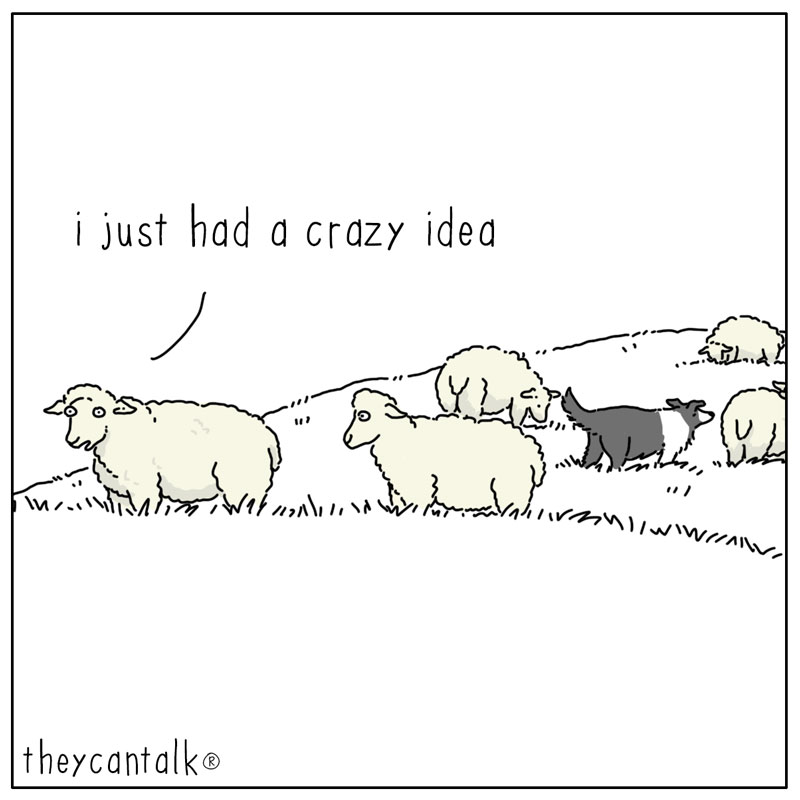 https://cdn-dev.tinyview.com/they-can-talk/2025/03/14/revolution/sheep_dog1.jpg