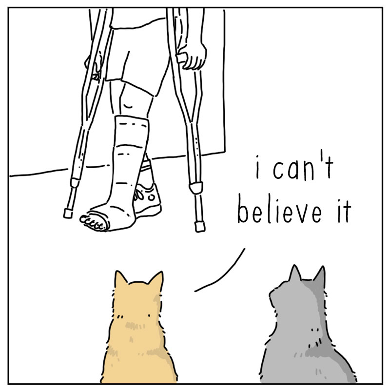 https://cdn-dev.tinyview.com/they-can-talk/2025/03/23/alteration/cat_cast1.jpg