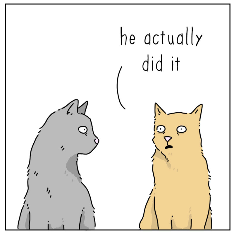 https://cdn-dev.tinyview.com/they-can-talk/2025/03/23/alteration/cat_cast2.jpg