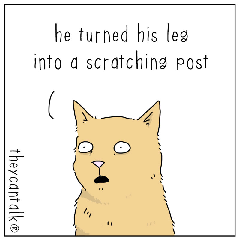 https://cdn-dev.tinyview.com/they-can-talk/2025/03/23/alteration/cat_cast3.jpg