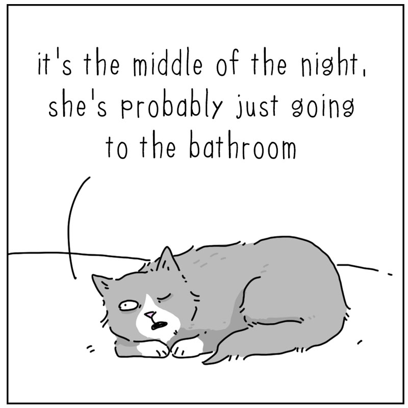https://cdn-dev.tinyview.com/they-can-talk/2025/04/14/breakfast/cat_midnight2.jpg