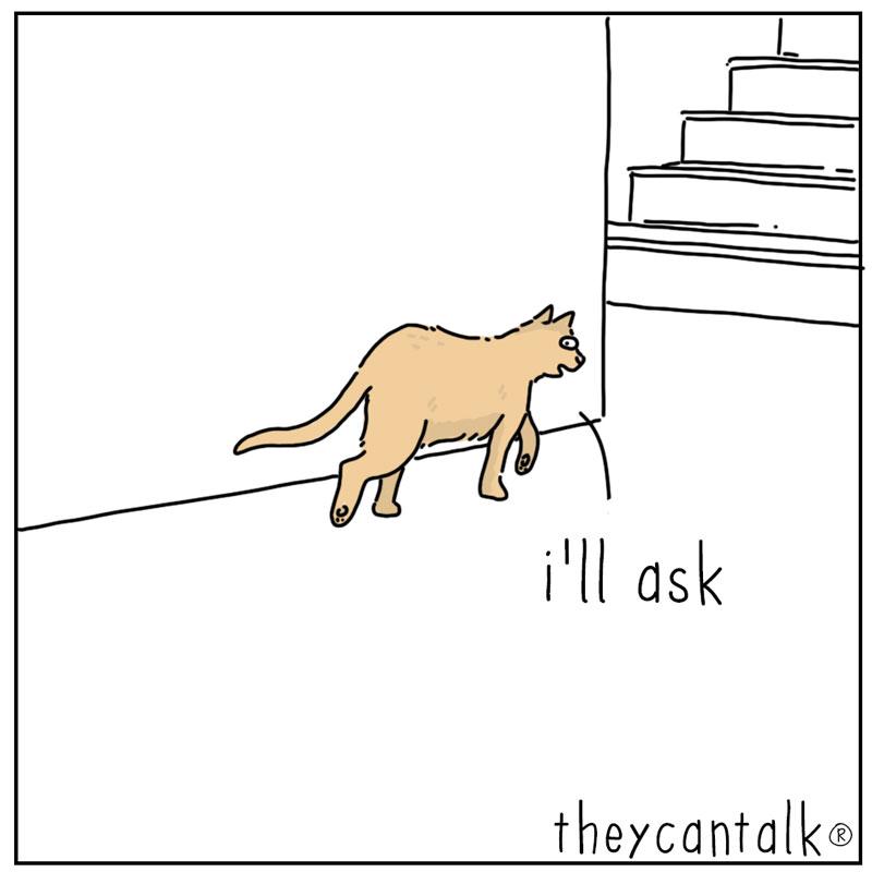 https://cdn-dev.tinyview.com/they-can-talk/2025/04/14/breakfast/cat_midnight4.jpg