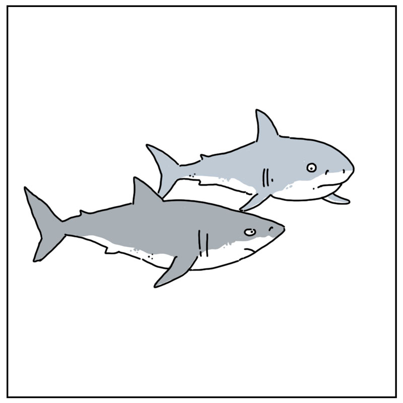 https://cdn-dev.tinyview.com/they-can-talk/2025/05/12/theme-song/shark_jawstheme3.jpg