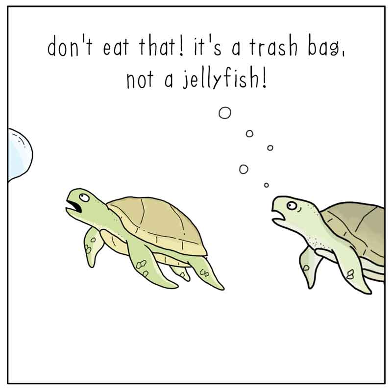https://cdn-dev.tinyview.com/they-can-talk/2025/06/05/close-call/seaturtle_jellyfish1.jpg