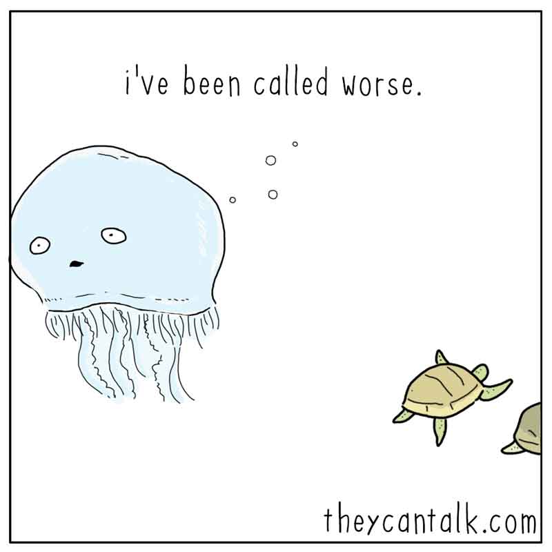 https://cdn-dev.tinyview.com/they-can-talk/2025/06/05/close-call/seaturtle_jellyfish2.jpg