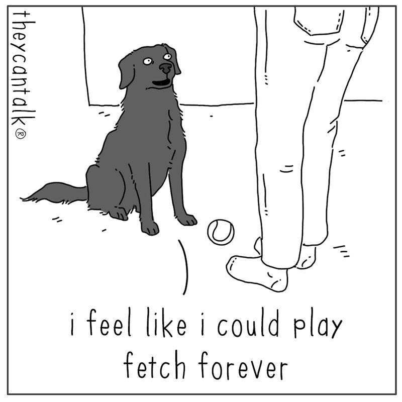 https://cdn-dev.tinyview.com/they-can-talk/2025/06/16/forever/dog_fetchforever1.jpg