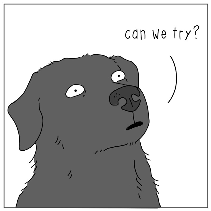 https://cdn-dev.tinyview.com/they-can-talk/2025/06/16/forever/dog_fetchforever2.jpg