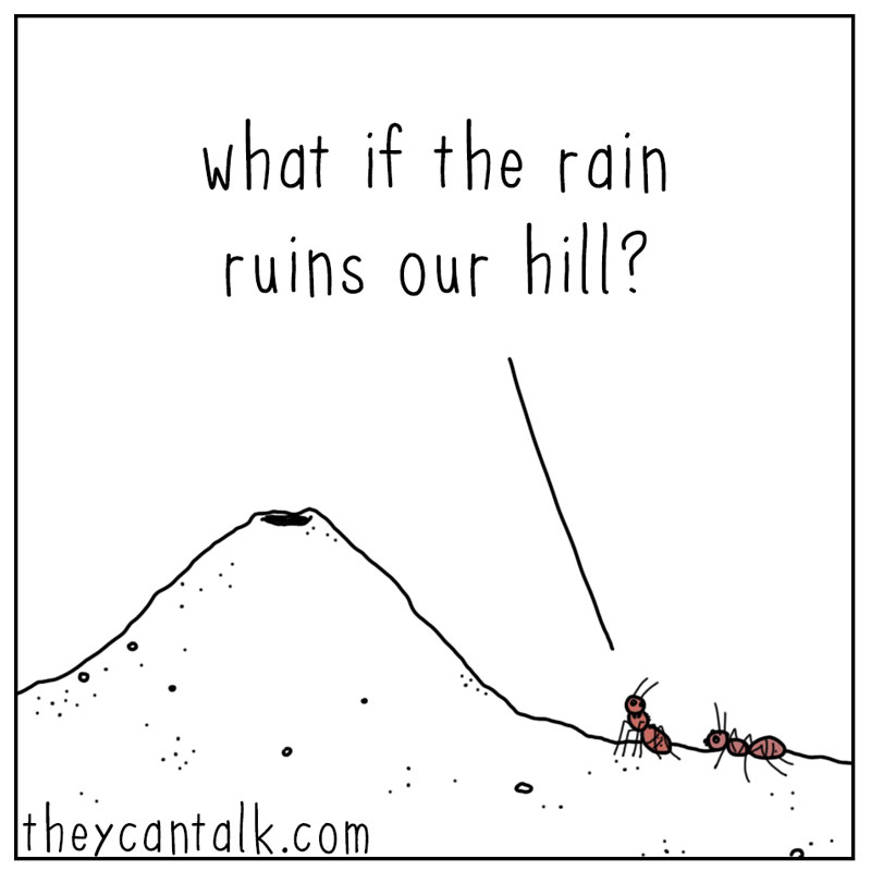 https://cdn-dev.tinyview.com/they-can-talk/2025/06/19/persistence/ant_persistence1.jpg