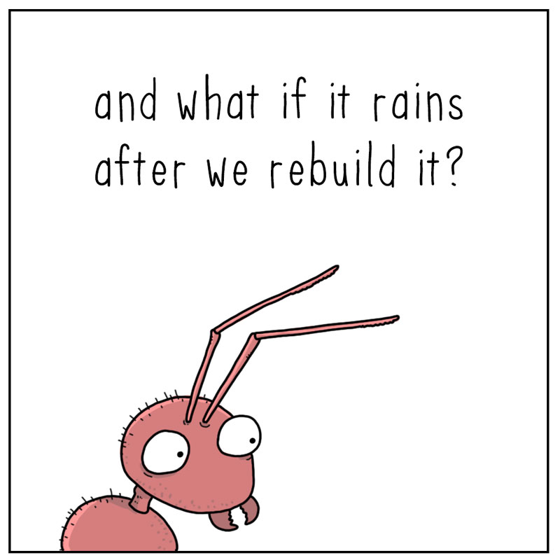 https://cdn-dev.tinyview.com/they-can-talk/2025/06/19/persistence/ant_persistence3.jpg