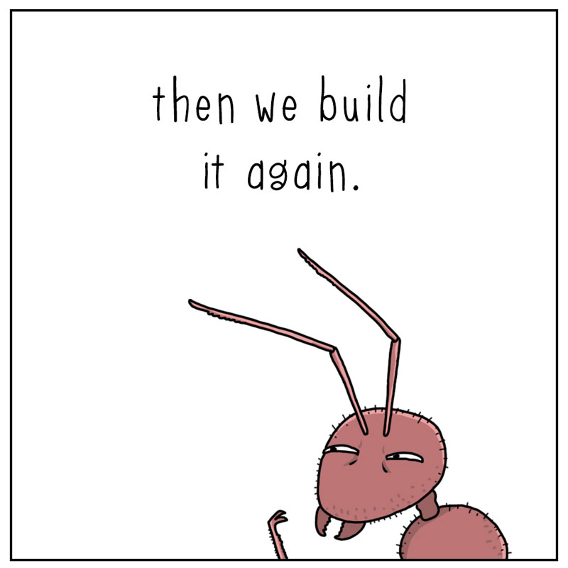 https://cdn-dev.tinyview.com/they-can-talk/2025/06/19/persistence/ant_persistence4.jpg