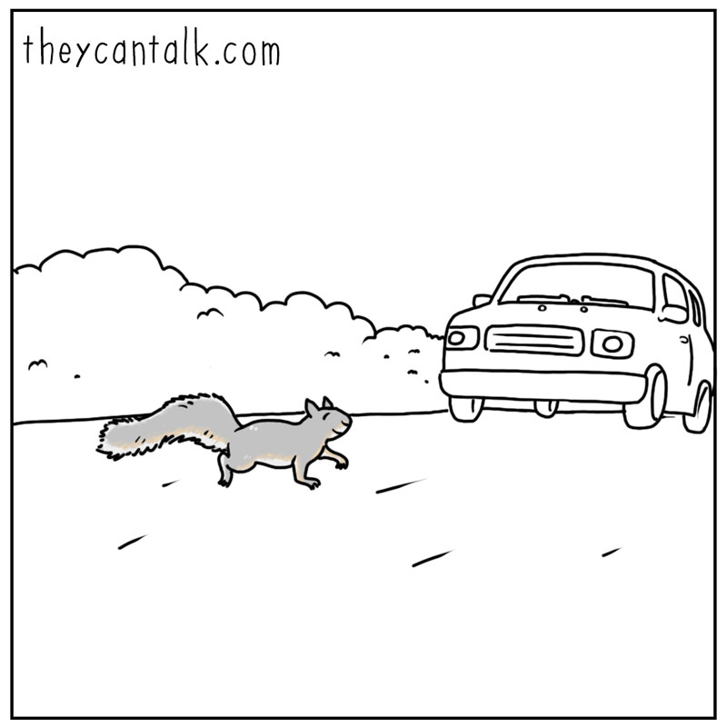 https://cdn-dev.tinyview.com/they-can-talk/2025/07/18/close-call/squirrel_invincible1.jpg