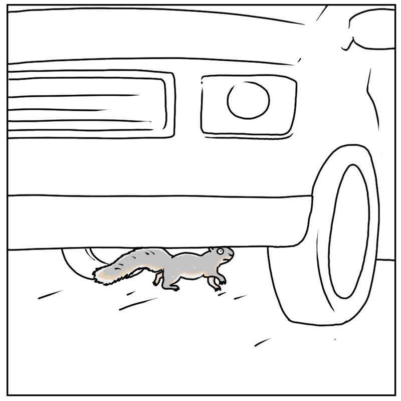 https://cdn-dev.tinyview.com/they-can-talk/2025/07/18/close-call/squirrel_invincible2.jpg
