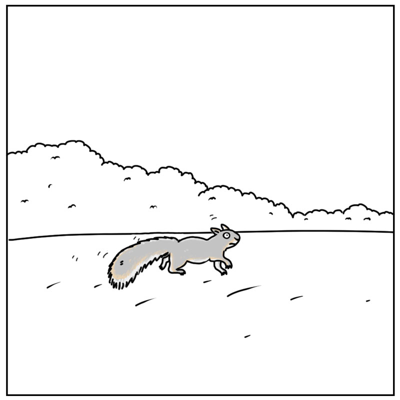 https://cdn-dev.tinyview.com/they-can-talk/2025/07/18/close-call/squirrel_invincible3.jpg