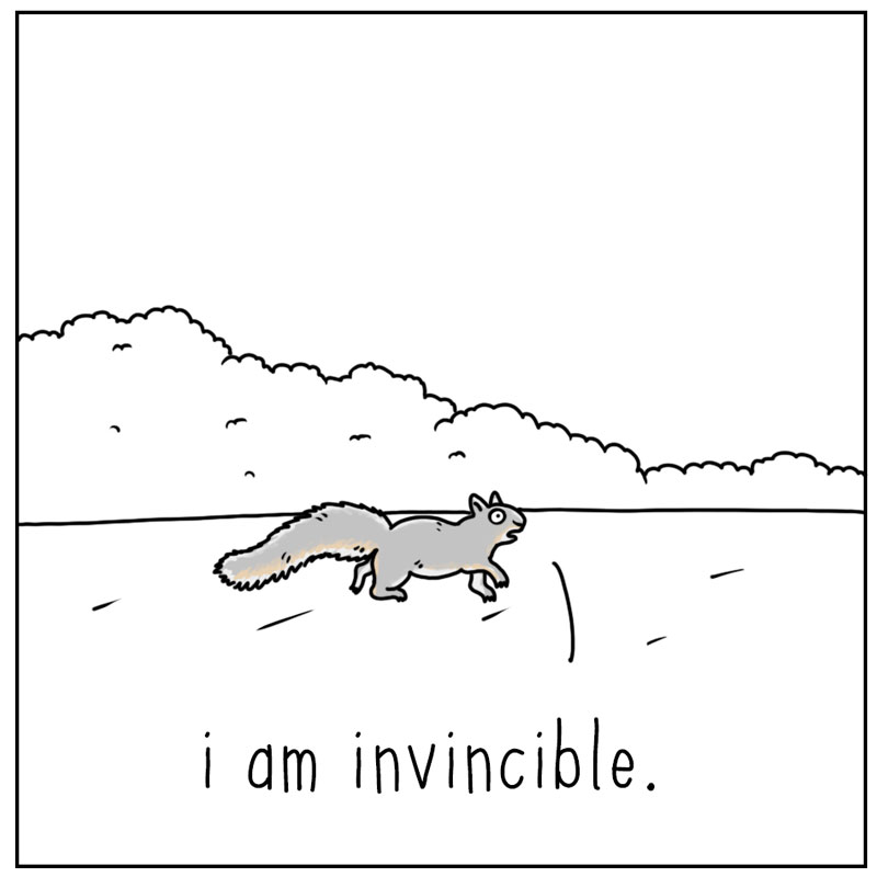 https://cdn-dev.tinyview.com/they-can-talk/2025/07/18/close-call/squirrel_invincible4.jpg