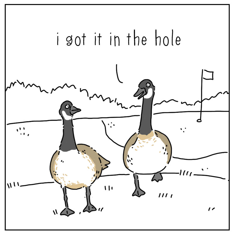 https://cdn-dev.tinyview.com/they-can-talk/2025/07/28/golf/goose_golf1.jpg