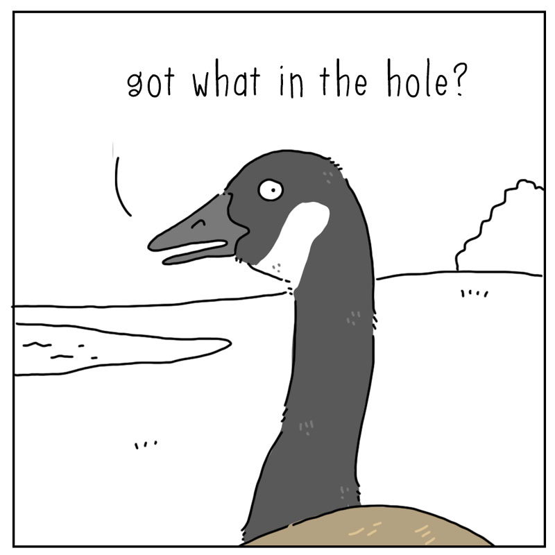 https://cdn-dev.tinyview.com/they-can-talk/2025/07/28/golf/goose_golf2.jpg