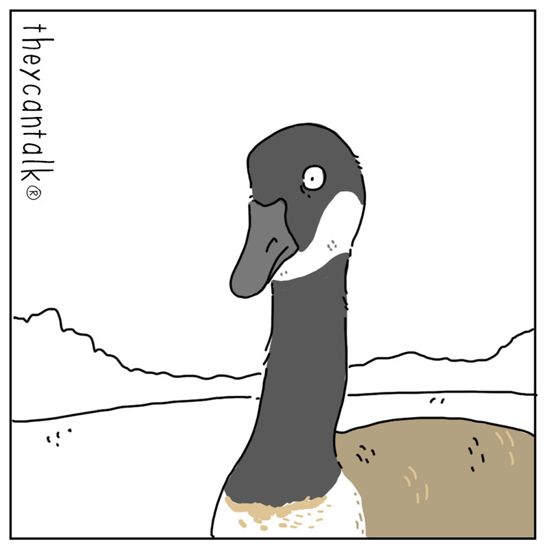 https://cdn-dev.tinyview.com/they-can-talk/2025/07/28/golf/goose_golf3.jpg