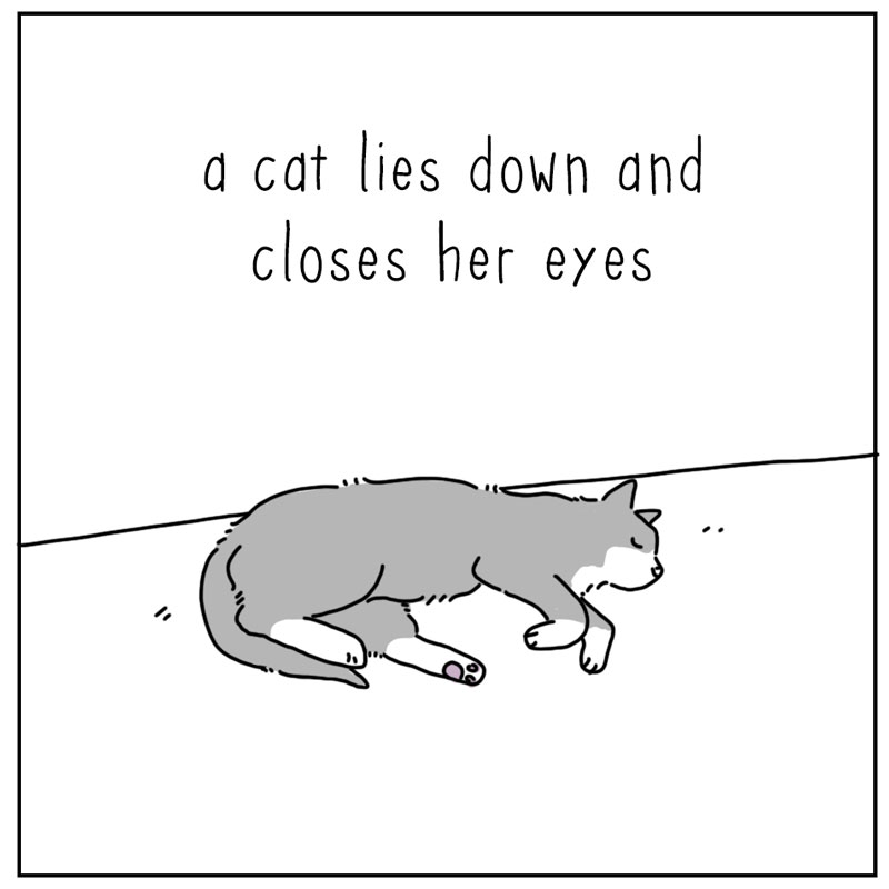 https://cdn-dev.tinyview.com/they-can-talk/2025/08/25/zoomies/cat_zoomies1.jpg